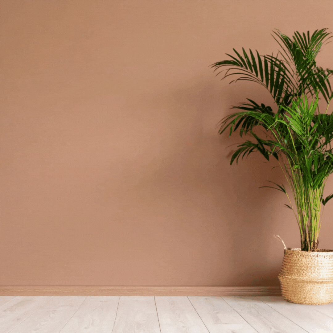 10000+ Wall Arts Mega Bundle (FREE TODAY)